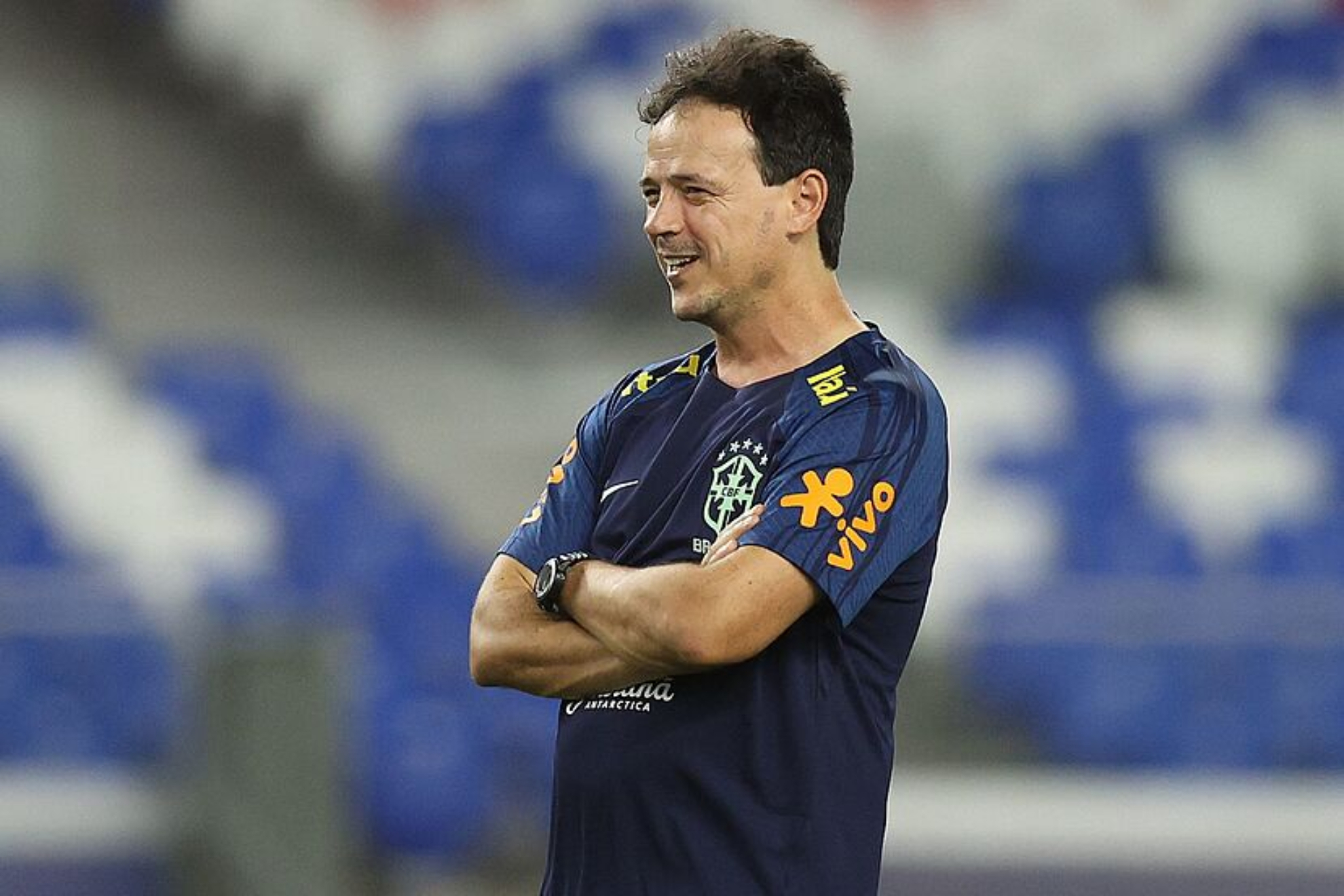 Diniz during his time as Brazil coach
