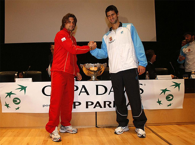 Ferrer y Djokovic