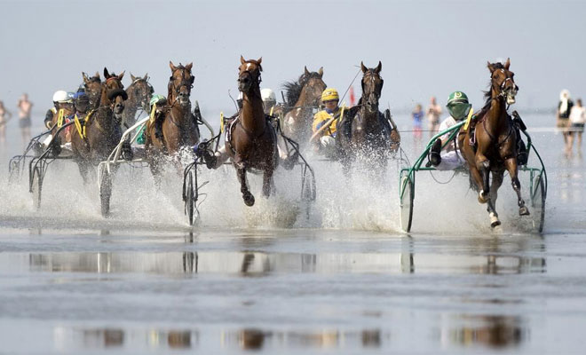 Alrededor de 30.000 espectadores estuvieron presentes en la ciudad costera de Cuxhaven, Alemania, para observar la carrera de caballos sobre el agua.