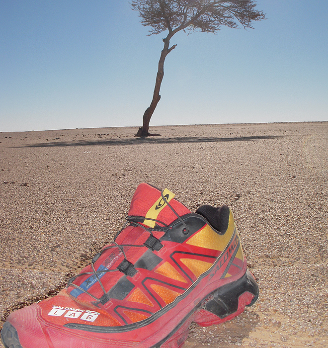 El Maratón Solidario del Sahara celebra su undécima edición.