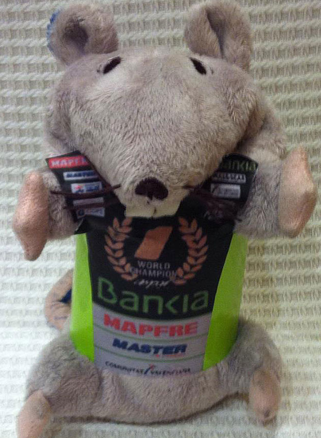 Sólex es la mascota que acompaña a todos los grandes premios a Nico Terol. Se trata de una rata de peluche viajera, que homenajea a todos los países por los que pasa. En Cheste se puso la camiseta de campeón de Nico Terol.