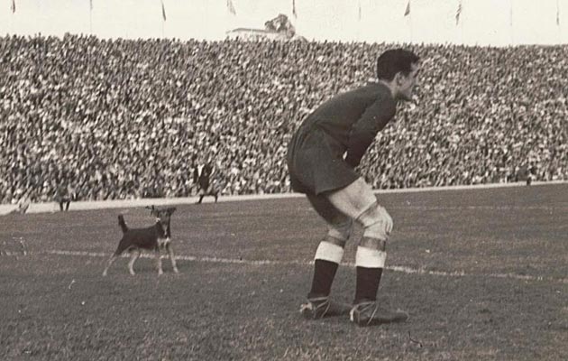 En este derbi de la campaa 1950-51 jugado en el Metropolitano se col un perro, que merode el rea de Juanito Alonso. Un respiro para el meta, que recibi cuatro goles de los locales.