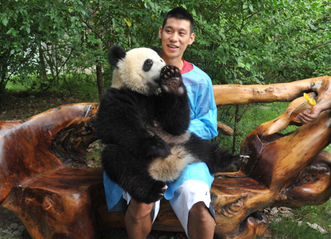 Jeremy Lin, base de los Houston Rockets, visit la reserva de osos panda de Chengdu, en China.