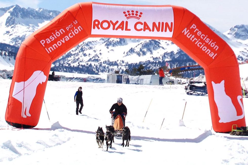 Montse Claverol durante una carrera de la categora de seis perros en nieve