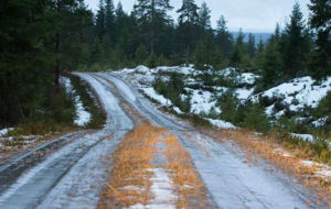 Uno de los tramos sin nieve en la previa del Rally de Suecia.