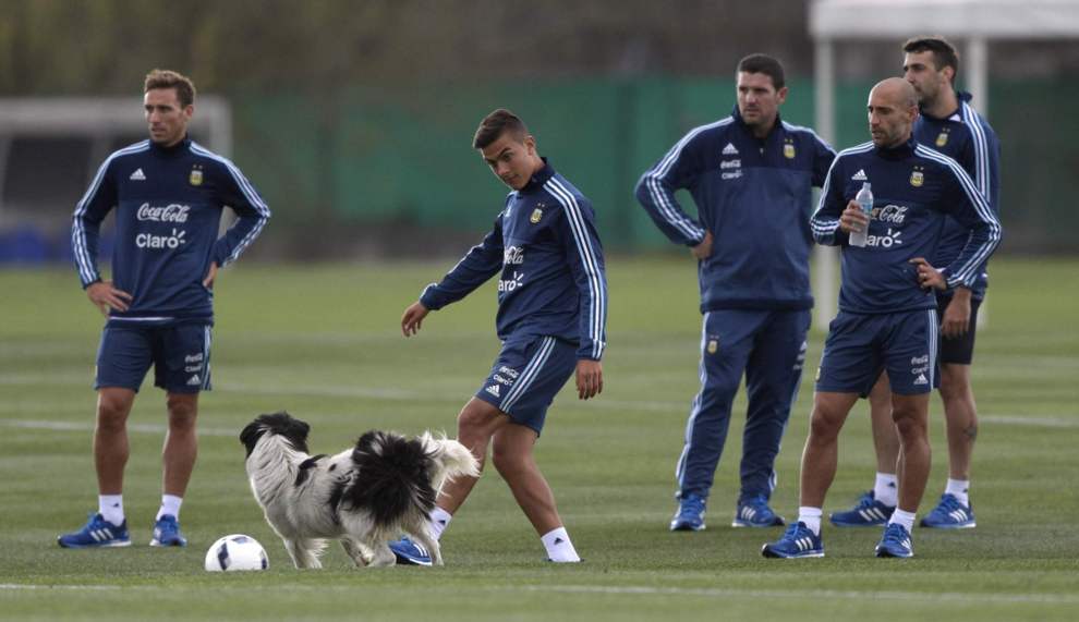 Dybala (Juventus) juega con un perro ante la mirada de Zabaleta...