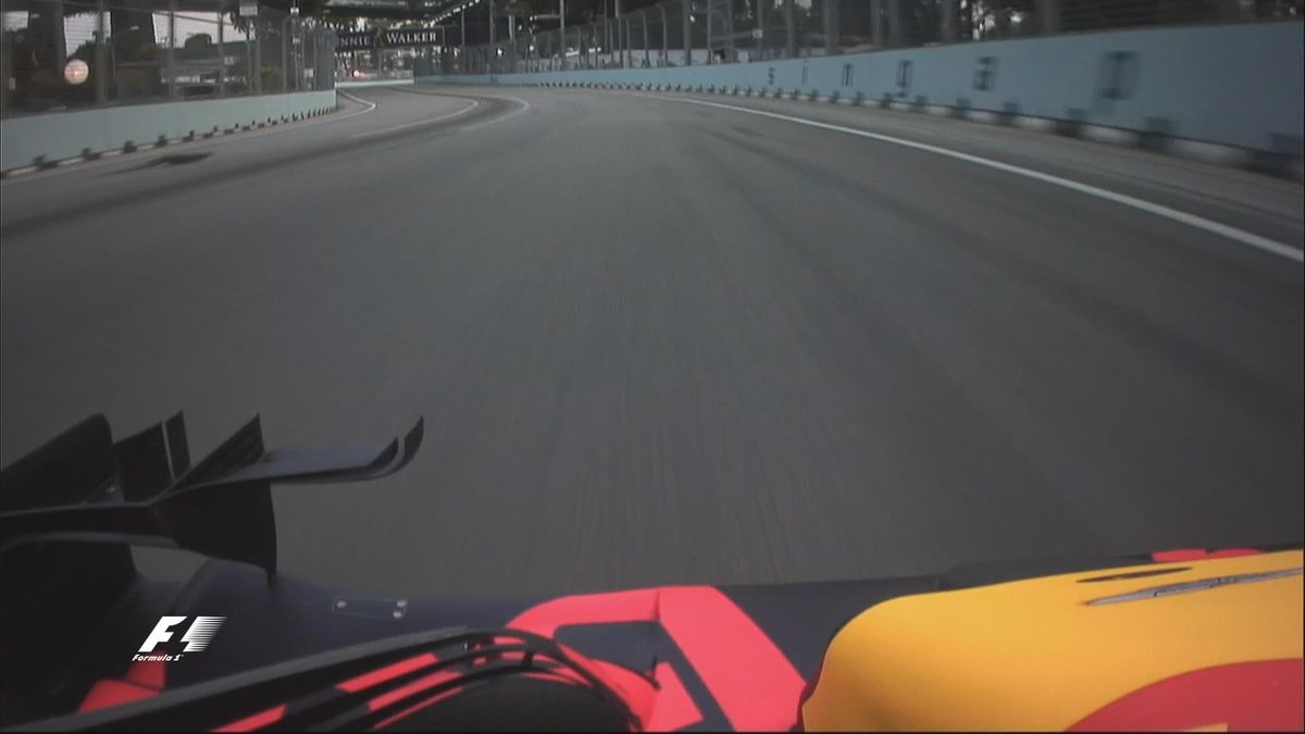 El varano se cruza en la trayectoria del Red Bull de Verstappen.
