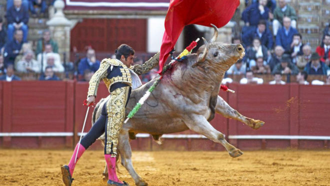 Joselito Adame en una corrida de toros en Sevilla.