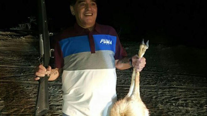 Maradona sostiene al animal en una mano y, en la otra, tiene la...