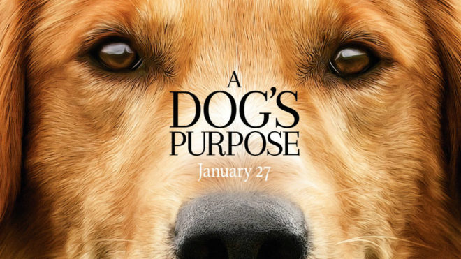 Cartel promocional de &apos;A dog&apos;s purpose&apos;