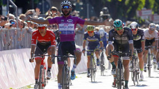 Gaviria celebra su cuarta victoria en el Giro tras cruzar la lnea de...