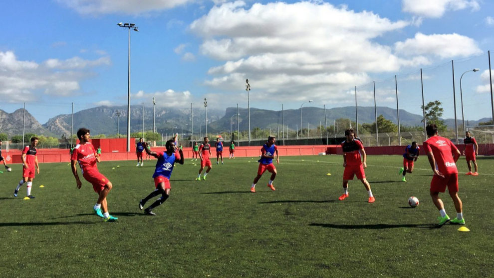 Los jugadores del Mallorca, durante el entrenamiento.