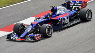Carlos Sainz pilota su Toro Rosso en el Circuito de Sepang.
