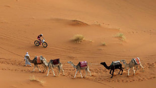Un ciclista atraviesa el desierto de Marruecos en la pasada edicin...