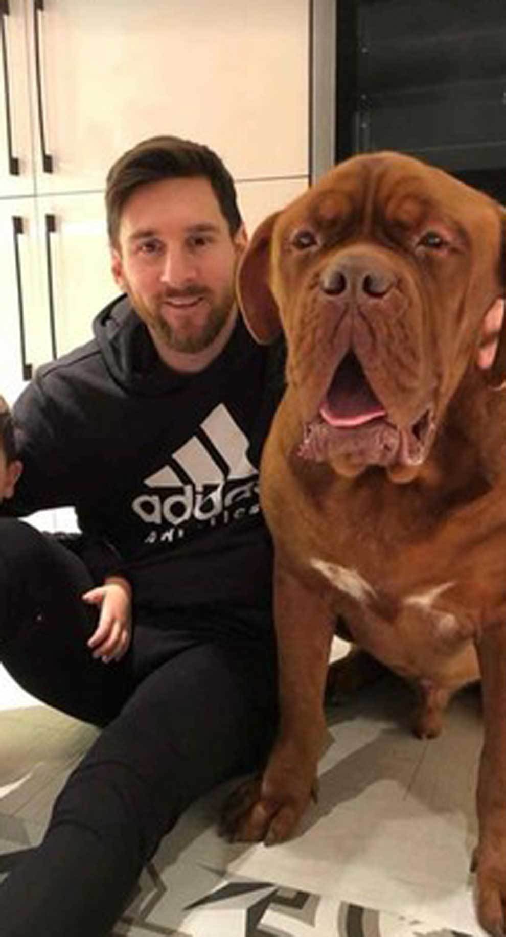 Leo Messi posando junto a Hulk, su popular Dogo de Burdeos