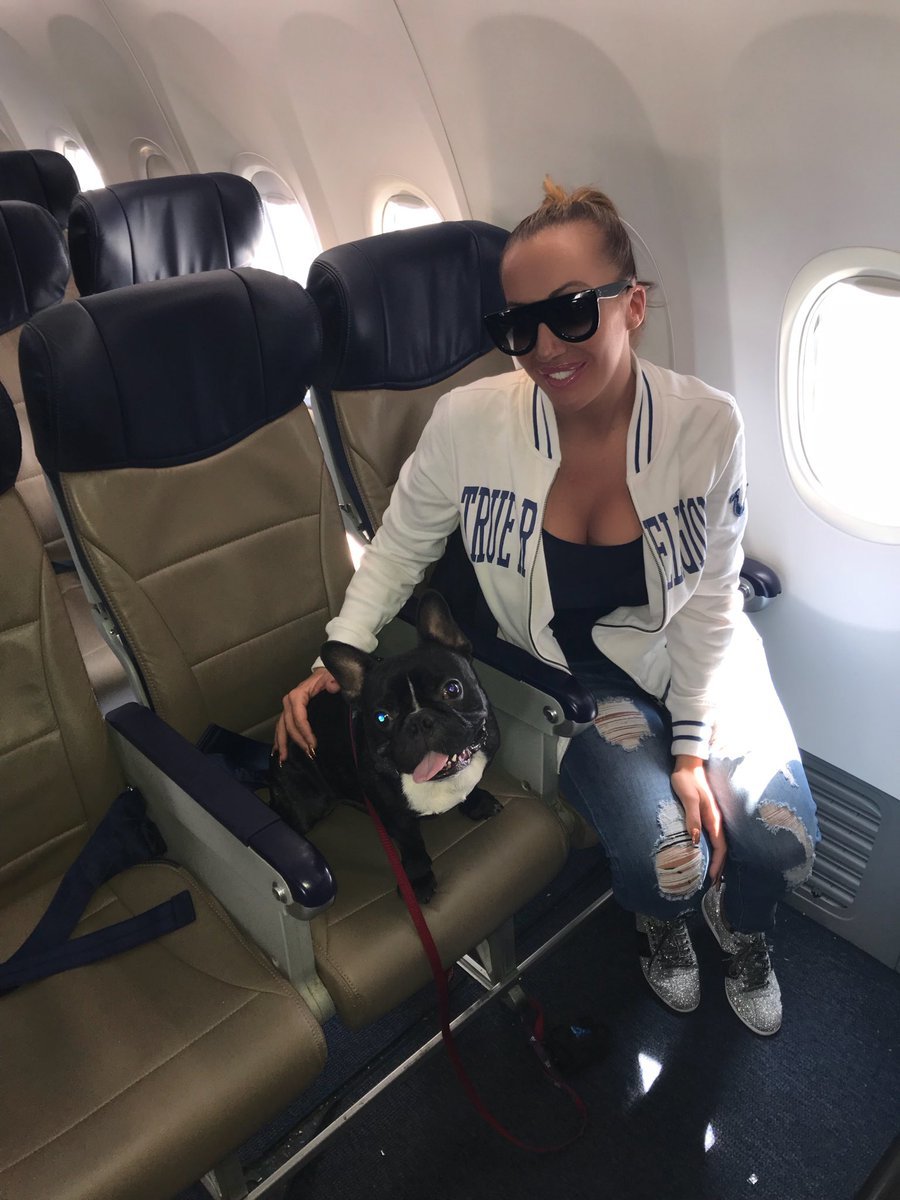 Béisbol: Richelle ryan, actriz porno que se ofreció para... | MARCA.com