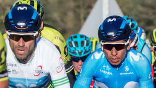 Alejandro Valverde y Nairo Quintana continuarn rodando juntos en...