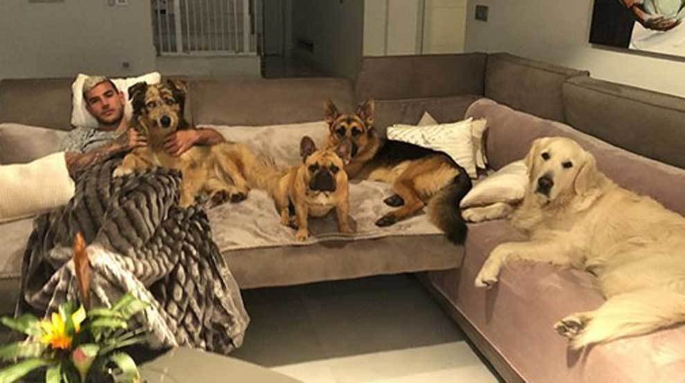 Theo Hernndez posando junto a sus cuatro perros: &quot;Roma, Kira, Moet y...