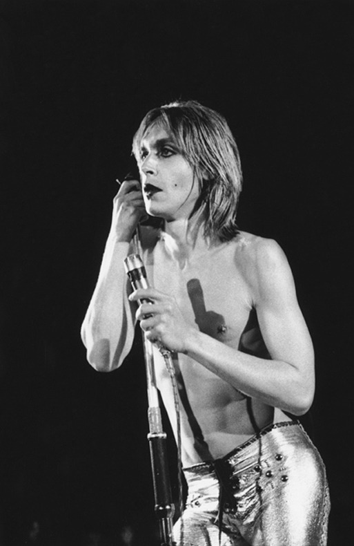 Zonsverduistering Doornen Bezienswaardigheden bekijken Iggy pop in 1973 | MARCA English