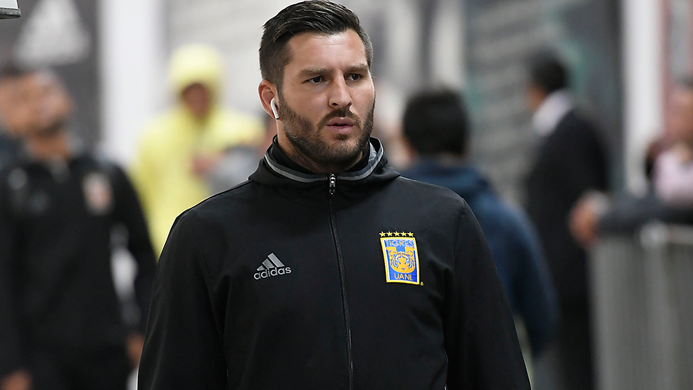 Chamarra Tigres Uanl Hot Sale, UP TO 55% OFF | lavalldelord.com