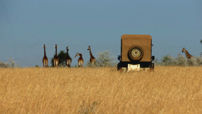 Safari en el Parque Nacional de Serengeti en Tanzania