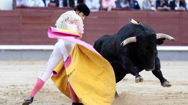 Javier Jimnez, durante la lidia de un toro.