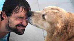 Buddy, el meditico perro de Sergio Llull, cumple cinco ao y el...