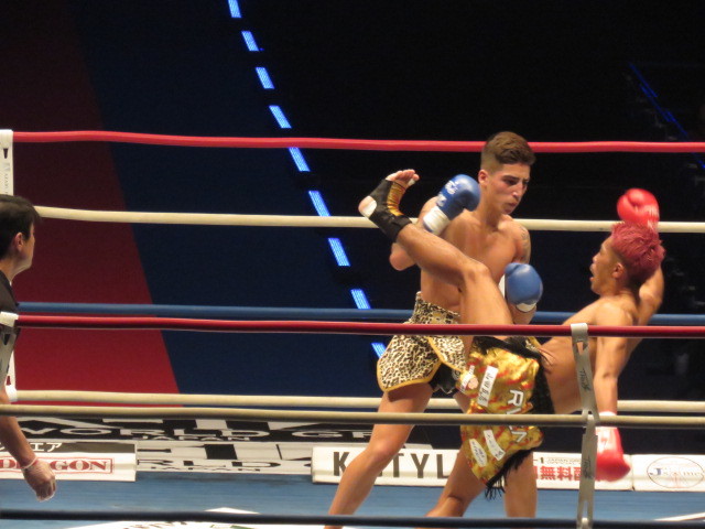MMA Pantalón chándal Muay Thai ufc Deportes de fuerza Boxeo Pelea Club K1 Sport 