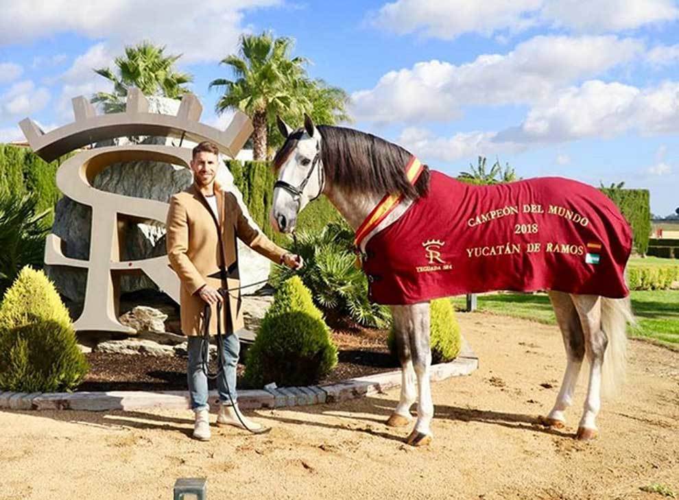 Yeguada SR4: Sergio ramos posando junto a su caballo 'yucatán... | MARCA.com