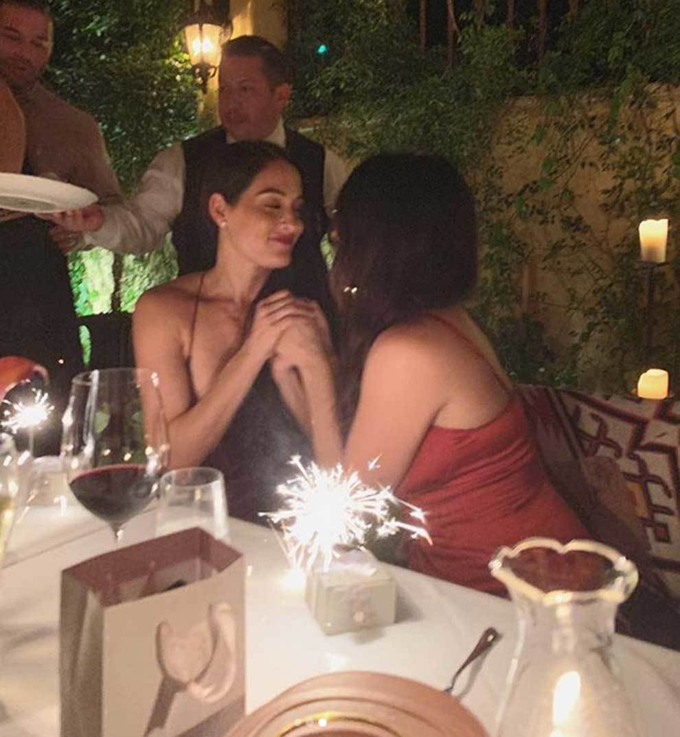WWE WWE Divas Nikki And Brie Bella Celebrate Their Birthday Foto 3 