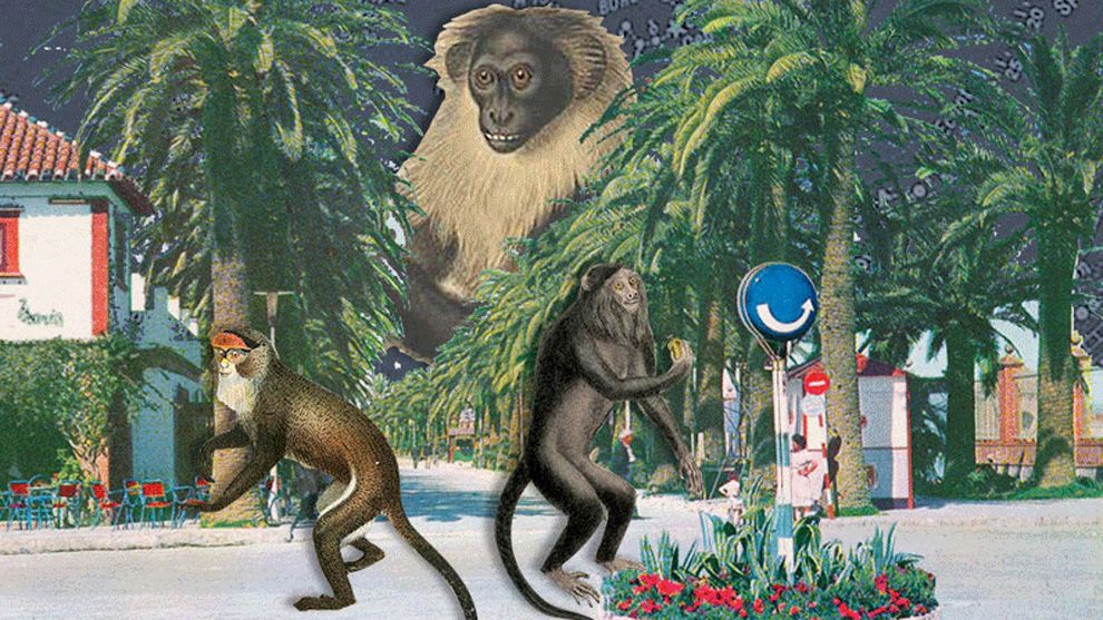 Monkey Weekend 2019, Flamin' Groovies encabezan una edición de órdago ...