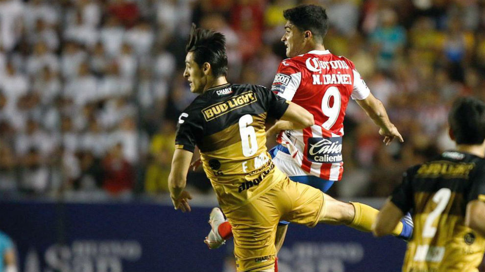 Nicolas Ibanez during a match for Atletico San Luis.
