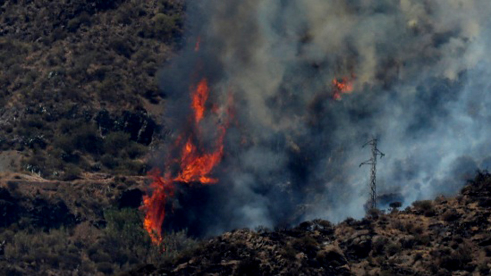 El incendio de Gran Canaria sigue activo y afecta ya a 1.500...
