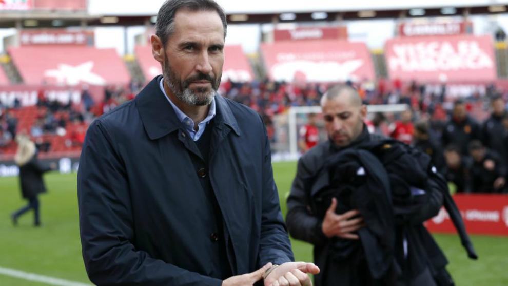 Vicente Moreno, entrenador del Mallorca.