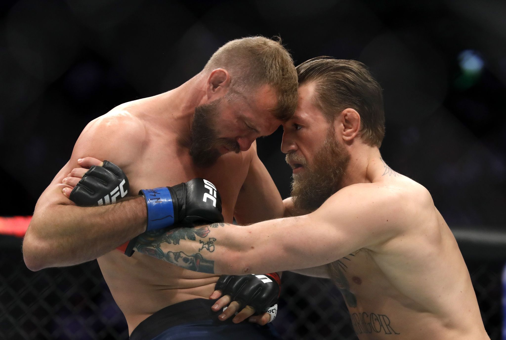 McGregor vs Cerrone UFC 246 Los mejores golpes de la