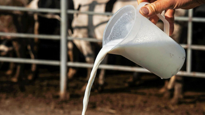 Las leches vegetales ganan terreno a la leche de vaca.