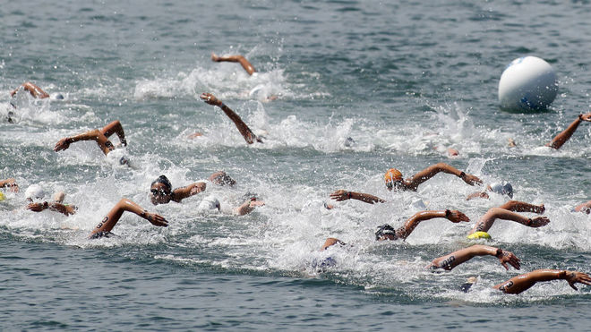 Varios nadadores, en una competicin de aguas abiertas