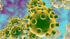 Coronavirus Espaa: ltima hora