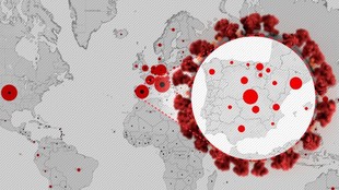 Mapa del Coronavirus en Espaa y el Mundo: casos, muertes y altas en...