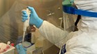 Un cientfico realiza un ensayo con el virus del coronavirus.