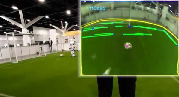 This is how a robot sees the pitch and the ball.