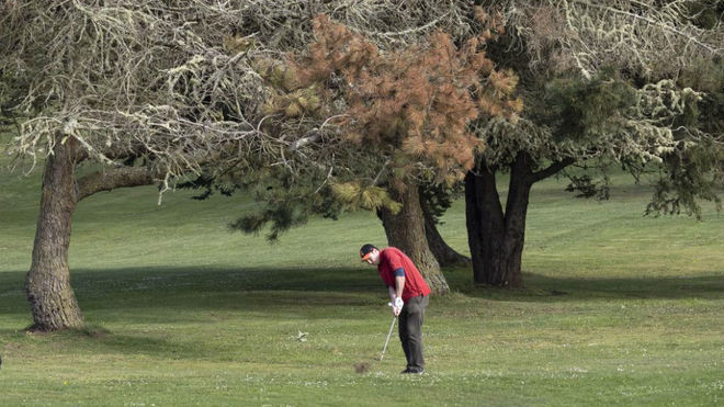 Un golfista, en San Francisco, donde algunos campos an abren sus...
