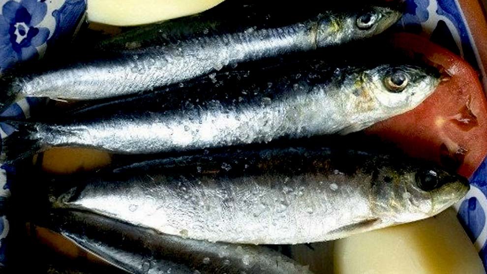 Como hacer sardinas asadas