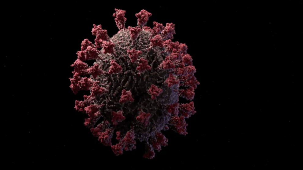 Publican el modelo 3D más detallado del nuevo coronavirus.