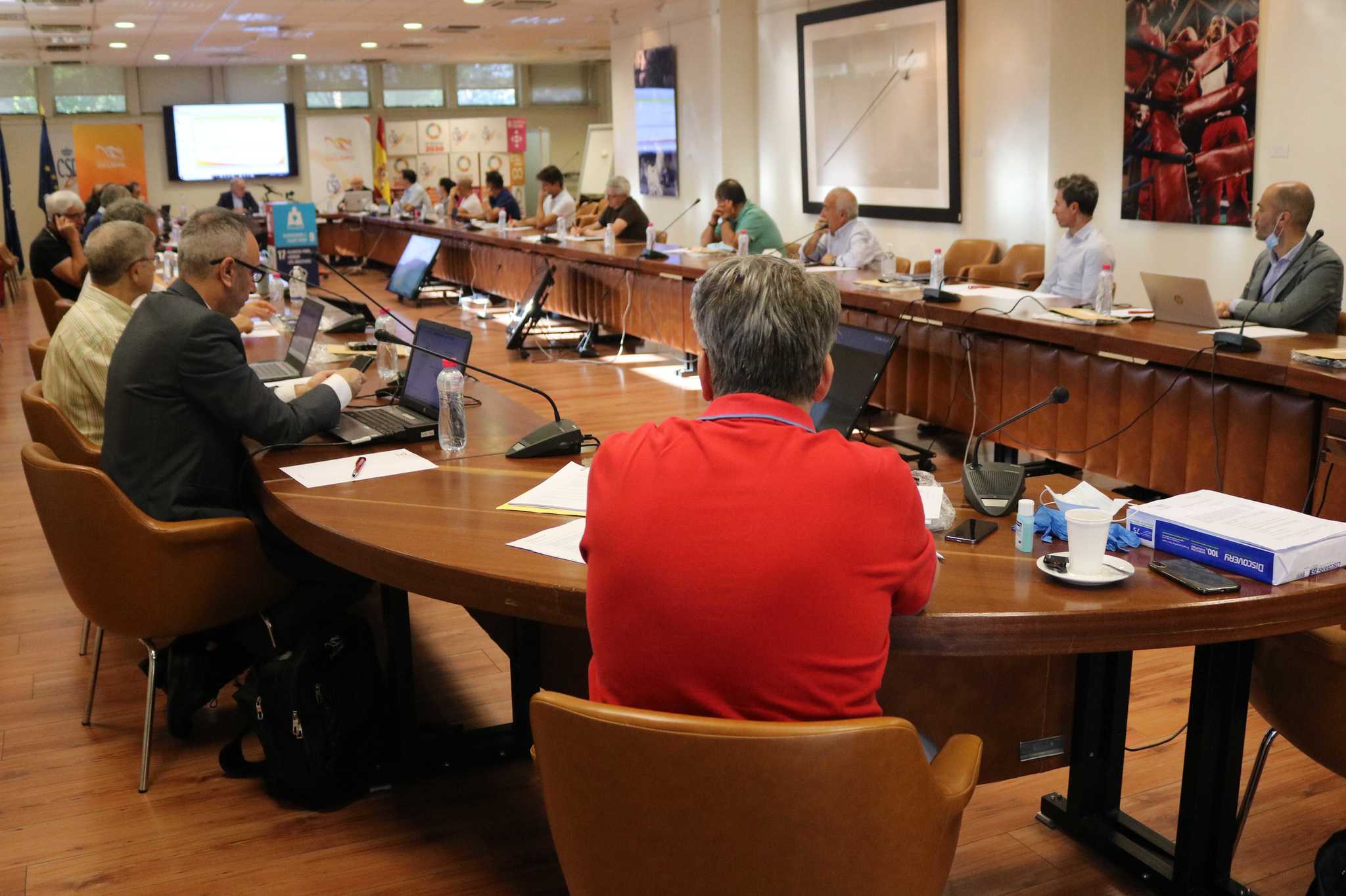 La Junta Directiva y la Comisin Delegada de la Real Federacin Espaola reunida en el CSD