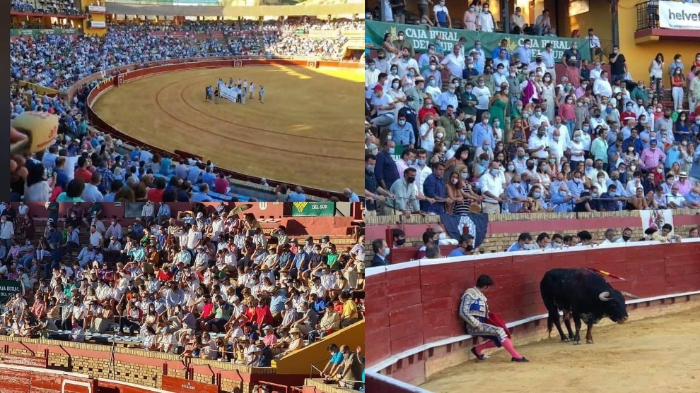 Las imgenes de la corrida de toros de Huelva que incendian las redes: Y la distancia social?