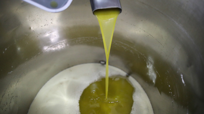 Fabricacin de aceite de oliva en una almazara.