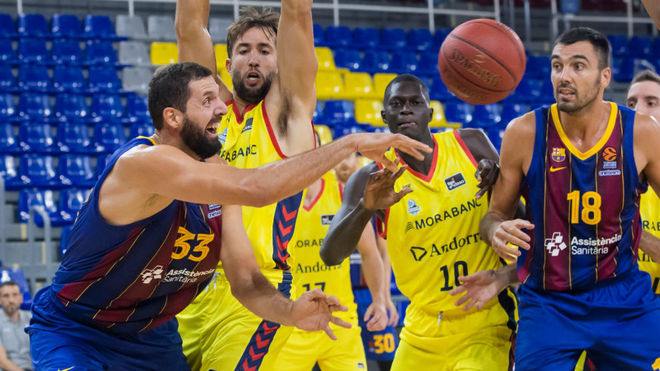 Prefijo verano padre ACB Liga Endesa: El Andorra arruina el 'primer título' de la era  Jasikevicius en el Barça | Marca