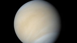 Trazas de fosfina hacen sospechar que Venus pueda albergar vida