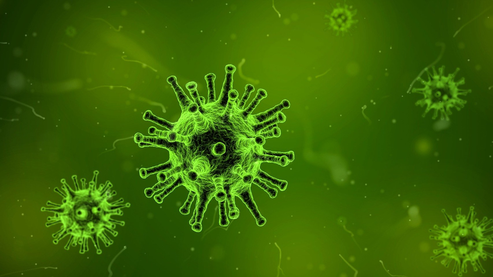 Norovirus: China Norovirus: ¿Qué es este nuevo virus, cuáles son los síntomas y cómo se propaga?